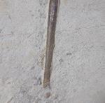 Hibolithes semisulcatus (M�NSTER 1830) - Bild &copy; FossNet FossilienStore